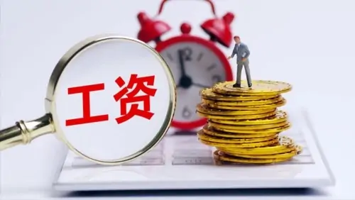 salary是什么意思英语(expected salary是什么意思) -第2张图片-矿虫网