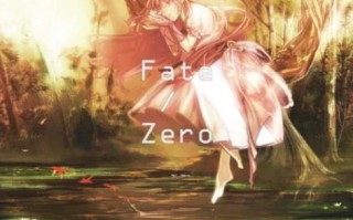 fate zero 小说取材于哪里? 